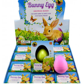 Growing Bunny Egg- Assorted
