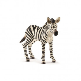 Schleich - Zebra Foal