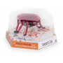 HEXBUG Beetle WIDE PDQ