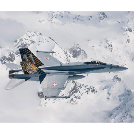 ITALERI F/A-18 Hornet "Tiger Meet" Special Colour 1:72