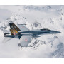 ITALERI F/A-18 Hornet "Tiger Meet" Special Colour 1:72