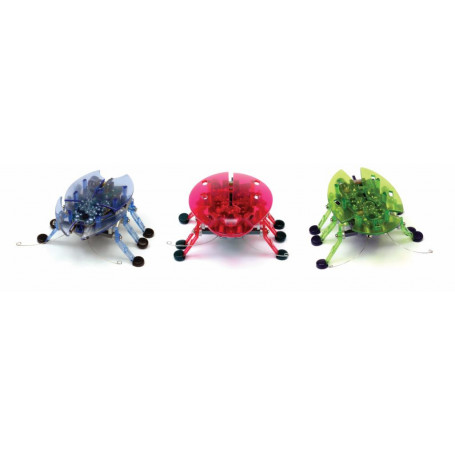 HEXBUG Beetle WIDE PDQ