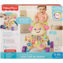 FISHER PRICE PUPPY WALKER ASSORTMENT