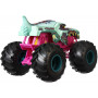HW MONSTER TRUCKS 1:24 ASSORTMENT