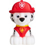 Paw Patrol Marshall/Everest Go Glow Buddy Assorted Character