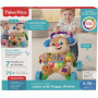 FISHER PRICE PUPPY WALKER ASSORTMENT
