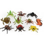 Insect World 10pc