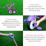 SmarTrike- Folding FUN 2 in 1 Pink/Purple