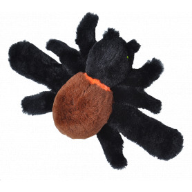 huggers spider