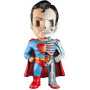 XXRAY - SUPERMAN