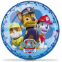 Paw Patrol Playball