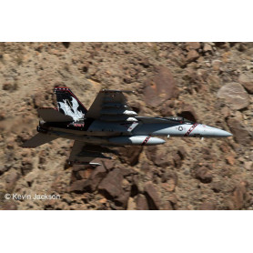 REVELL F/A-18 SUPER HORNET 1/32