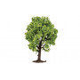 HORNBY FRUIT TREE