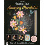 Picture Etch: Amazing Mandalas