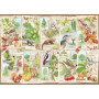 Rburg - Wondrous Tree 1000pc
