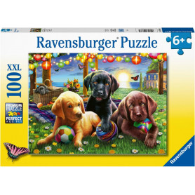 Rburg - Puppy Picnic 100pc