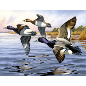 RVS Painting By Numbers Large-Bluebills PBNACL4