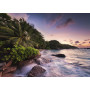 Rburg - Praslin Island, Seychelles1000pc