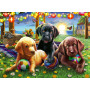 Rburg - Puppy Picnic 100pc