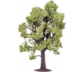 HORNBY BEECH TREE
