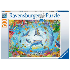 Rburg - Cave Dive 500pc