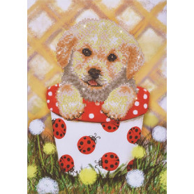 DIAMOND DOTZ PUP IN POT 30 x 42cm