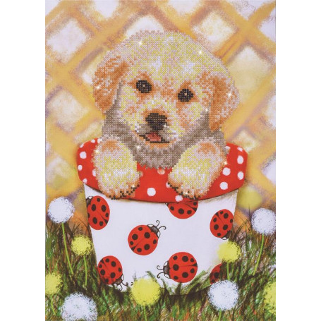 DIAMOND DOTZ PUP IN POT 30 x 42cm