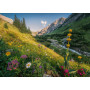 Rburg - Magical Valley 1000pc