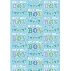 WRAP FLD BDAY BOY TYPE