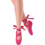 BARBIE BALLET WISHES