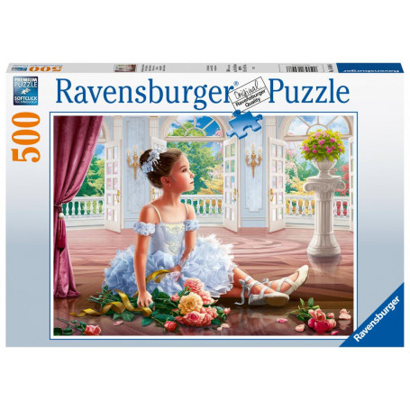Rburg - Sunday Ballet 500pc