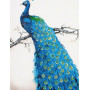 DIAMOND DOTZ BLUE PEACOCK