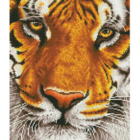 DIAMOND DOTZ BENGAL MAGIC 36 x 42cm