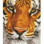 DIAMOND DOTZ BENGAL MAGIC 36 x 42cm