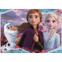 Rburg - Frozen 2 Enchanting New World 24pc