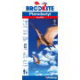 Pterodactyl Jurassic Kite (D24)