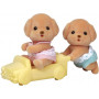 SF - Toy Poodle Twins
