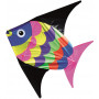Skyray Kite (D48)