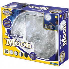Brainstorm My Very Own Moon