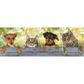DIAMOND DOTZ HANG IN THERE 81 x 28cm