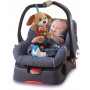 VTECH - Little Singing Puppy Asst (Tan/Pink)