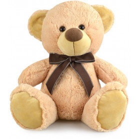MY BUDDY BEAR BGE - 40CM