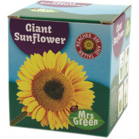 Giant Sunflower