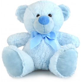 MY BUDDY BEAR BL 31CM