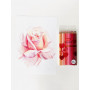 Jasart Studio Love Pencil Set 12 [FSC 100%]
