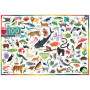 eeboo - 100 Pc Beautiful World