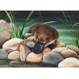 HOLDSON ALL CREATURES 1000pc PLATYPUS