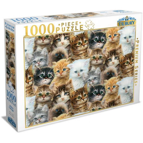 1000pce Tilbury Premium Puzzle - Kitten Collage