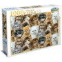 1000pce Tilbury Premium Puzzle - Kitten Collage