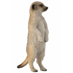 MEERKAT (S)